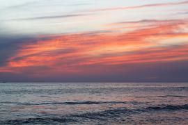IMG_8934ss.jpg