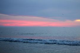 IMG_8950ss.jpg