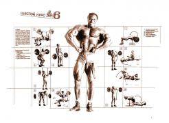 Weider_System_BB_plakat-6_1991.jpg