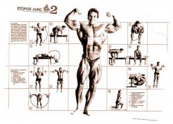Weider_System_BB_plakat-2_1991.jpg