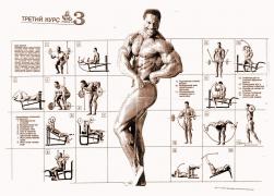 Weider_System_BB_plakat-3_1991.jpg