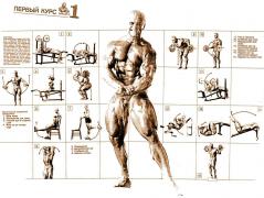 Weider_System_BB_plakat-1_1991.jpg