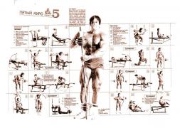 Weider_System_BB_plakat-5_1991.jpg
