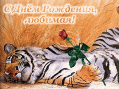 0_3a822_ad7938cd_L.gif