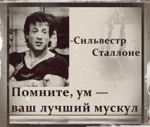 Слай цитата.jpg