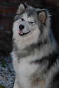 DSC_7227.jpg