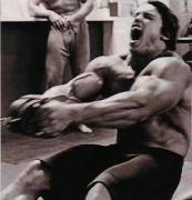 biceps+arnold1.jpg