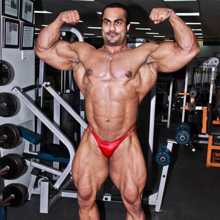 Carnitine Core �������: ����.