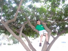 DSC05050.jpg