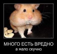 image.jpg