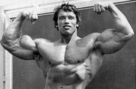 arnoldBicep.jpg