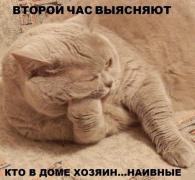 941866_577752975590603_1124644652_n.jpeg