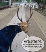 rjpqnjwORvo.jpg