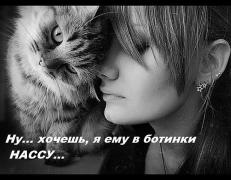 нассу.jpg