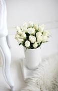 ImageUploadedByTapatalk1369294696.009998.jpg