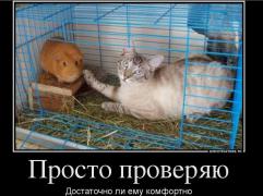 2013-05-31_161857.jpg