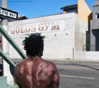 ROBBY ROBINSON GOLDS VENICE CALIFORNIA 01.jpg