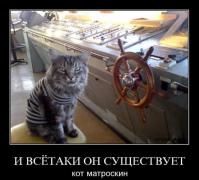 маторскин.jpg