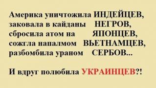 1139264_original.jpg