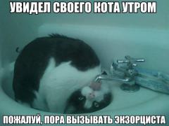 yumora-nemnogo-kartinki-smeshnye-kartinki-fotoprikoly_1251357017.jpg