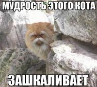 yumora-nemnogo-kartinki-smeshnye-kartinki-fotoprikoly_8790385080.jpg
