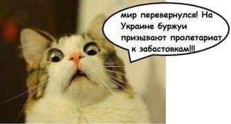 1201904_original.jpg