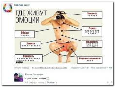 setey-socialnyh-kommentarii-citaty-vkontakte-vkontakte-smeshnye-statusy_1027375413.jpg
