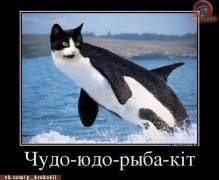 1259790_original.jpg