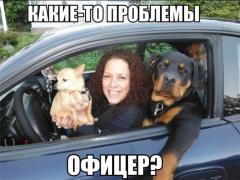 yumora-nemnogo-kartinki-smeshnye-kartinki-fotoprikoly_4398941430.jpg
