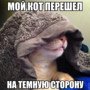 yumora-nemnogo-kartinki-smeshnye-kartinki-fotoprikoly_70812326100.jpg