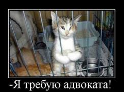 1171133_original.jpg