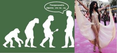 1146830_original.jpg