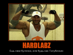 386843_hardlabz_demotivators_to.png