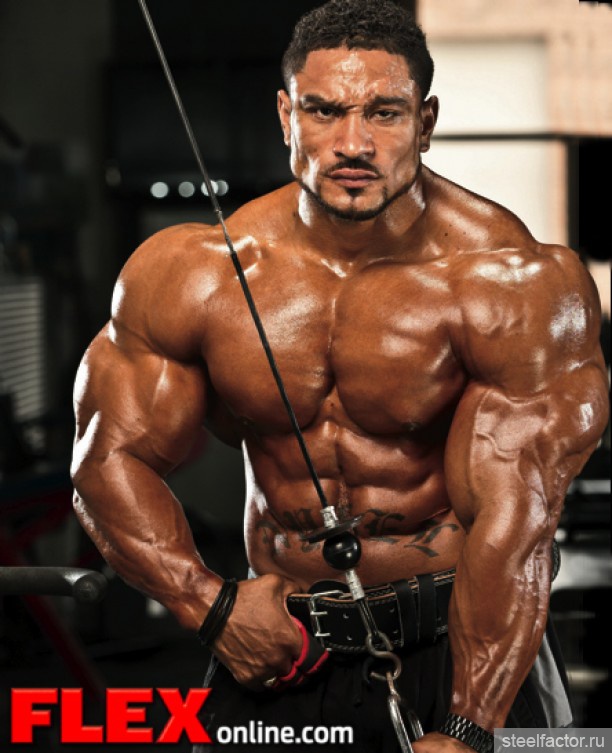 Roelly Winklaar Wallpaper