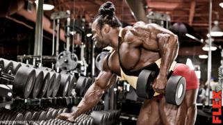 13FLEX_kai_back_970_2.jpg
