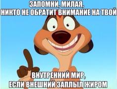 KilmhM4g9yI.jpg