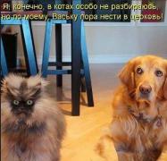 васька.jpg
