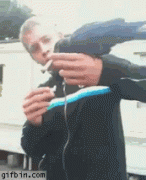 ворона.gif