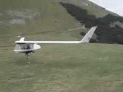планер1.gif