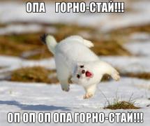 HnC7BcL9EIQ.jpg