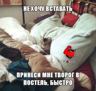 Y5L7HiJhsLk.jpg