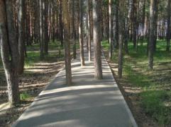 -1LTon62778.jpg