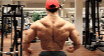 02.gif