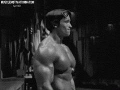 07.gif