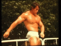 12.gif