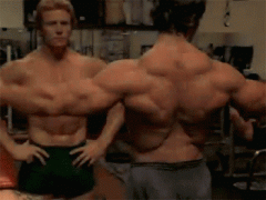 01.gif