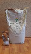 IMG-20150528-WA0000.jpeg