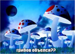i_026.jpg