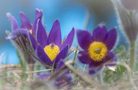 DSC03545.jpg