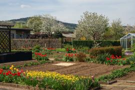DSC04355112.jpg
